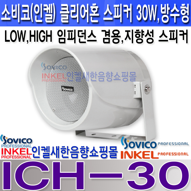 ICH-30 LOGO.jpg
